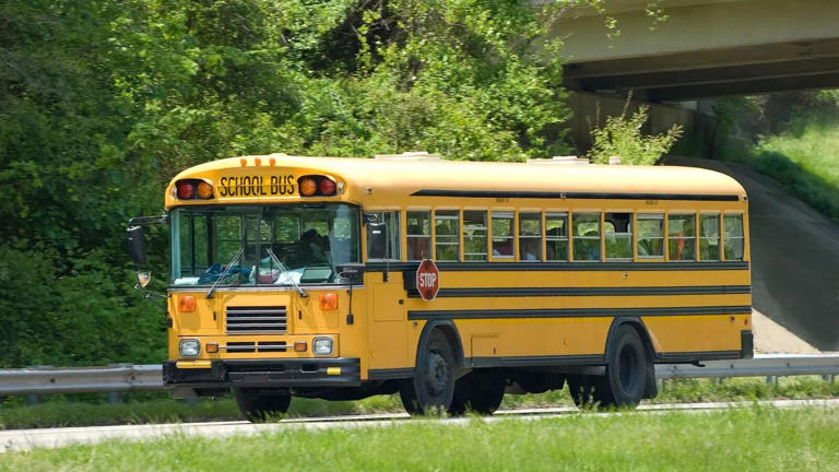 Ever wondered why school buses are yellow? Here’s the answer