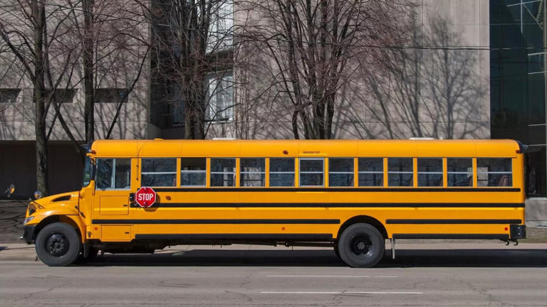 Ever wondered why school buses are yellow? Here’s the answer