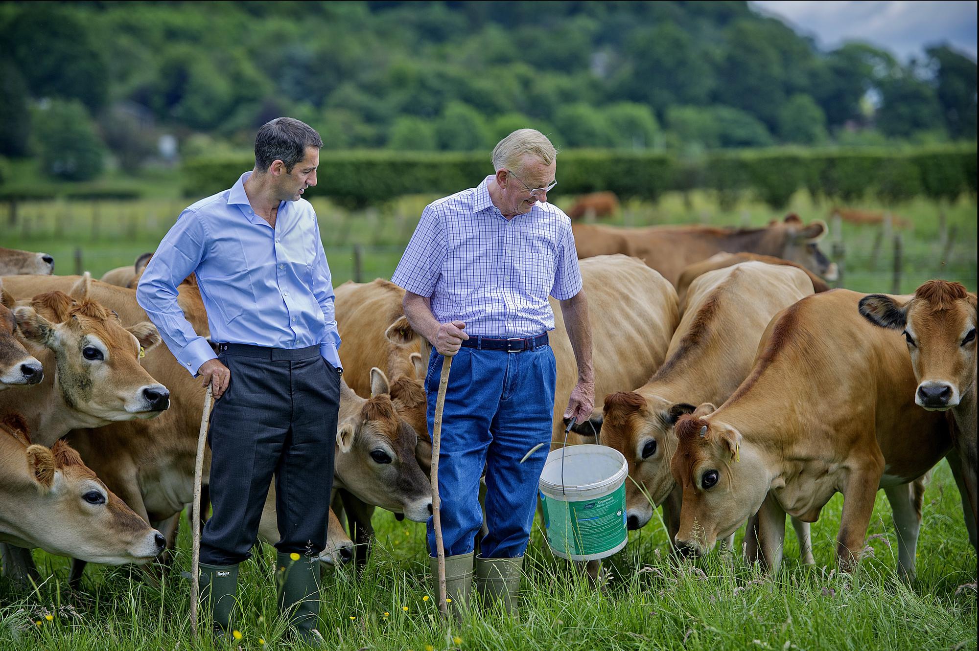 Graham s The Family Dairy: Scottish milk giant takes £2 million hit to