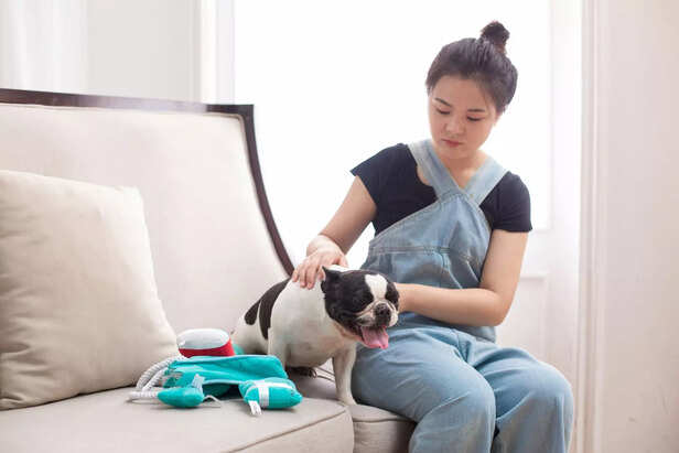 How Much Does It Cost to Keep a Dog Per Month?