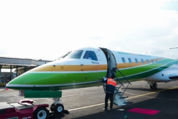 Polemik IMIP: Dari "Negara dalam Negara" hingga Pernyataan Luhut