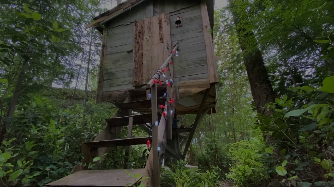 The cozy treehouse Airbnb offering a magical nature escape