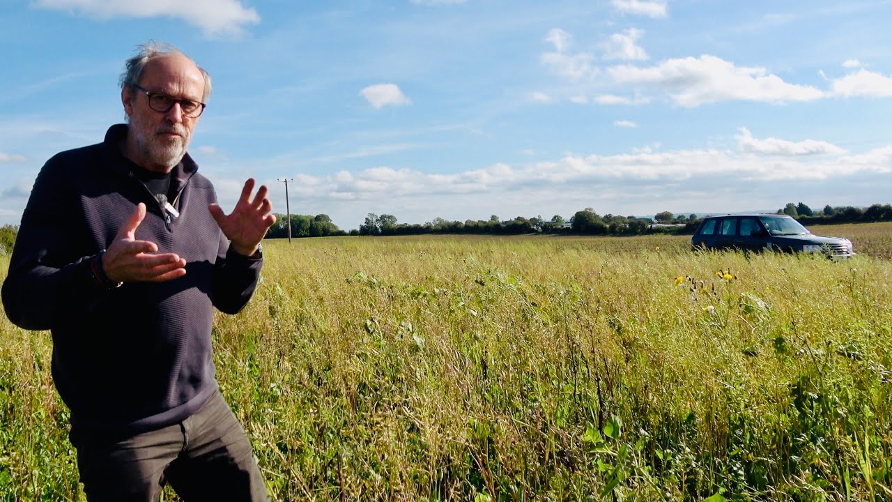 Couldn T Leave It Behind Goodwill Thrift With Me Reselling