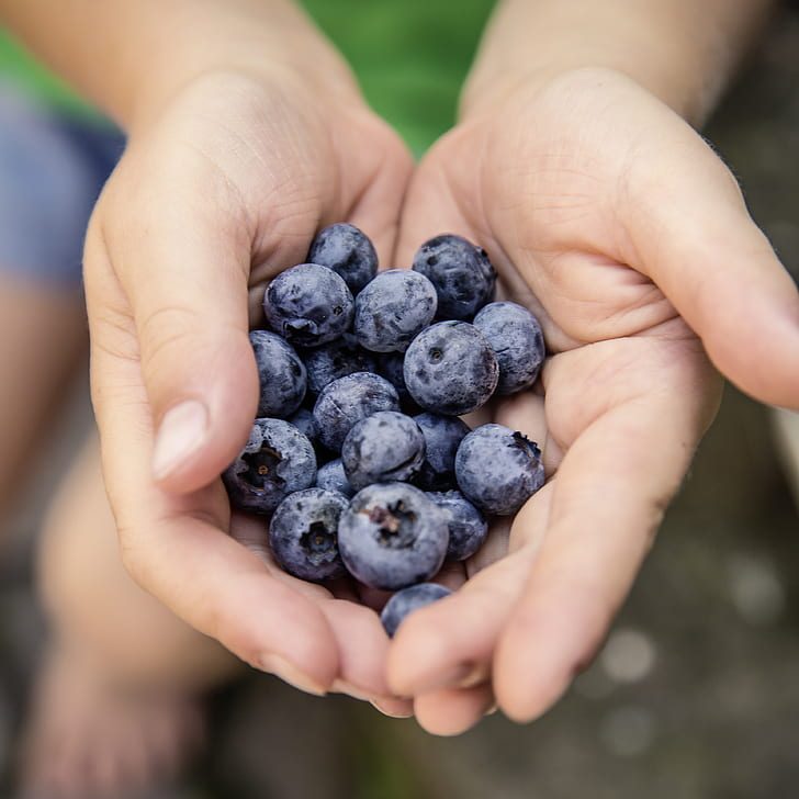 3 foods that fight liver fat, regulate sugar and cholesterol
