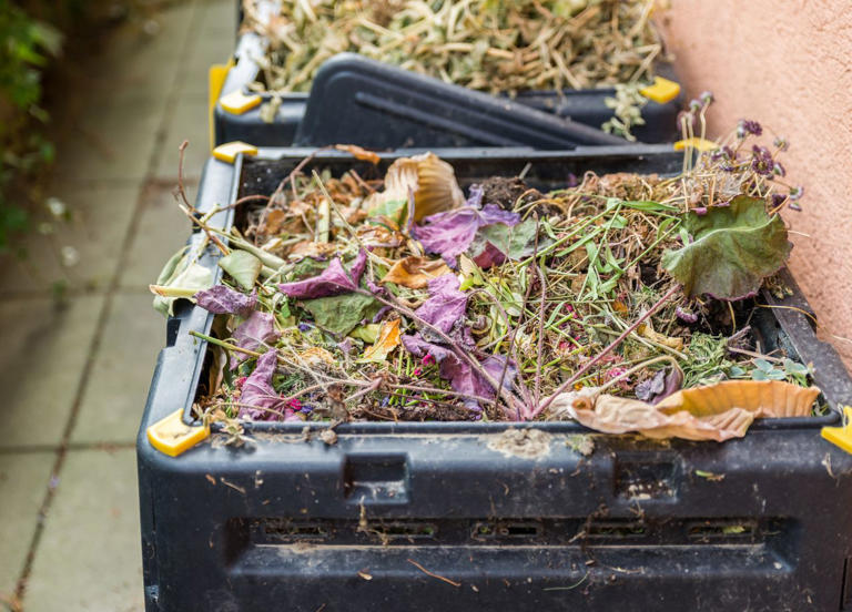 5 Composting Methods That Turn Food Scraps Into Garden Gold