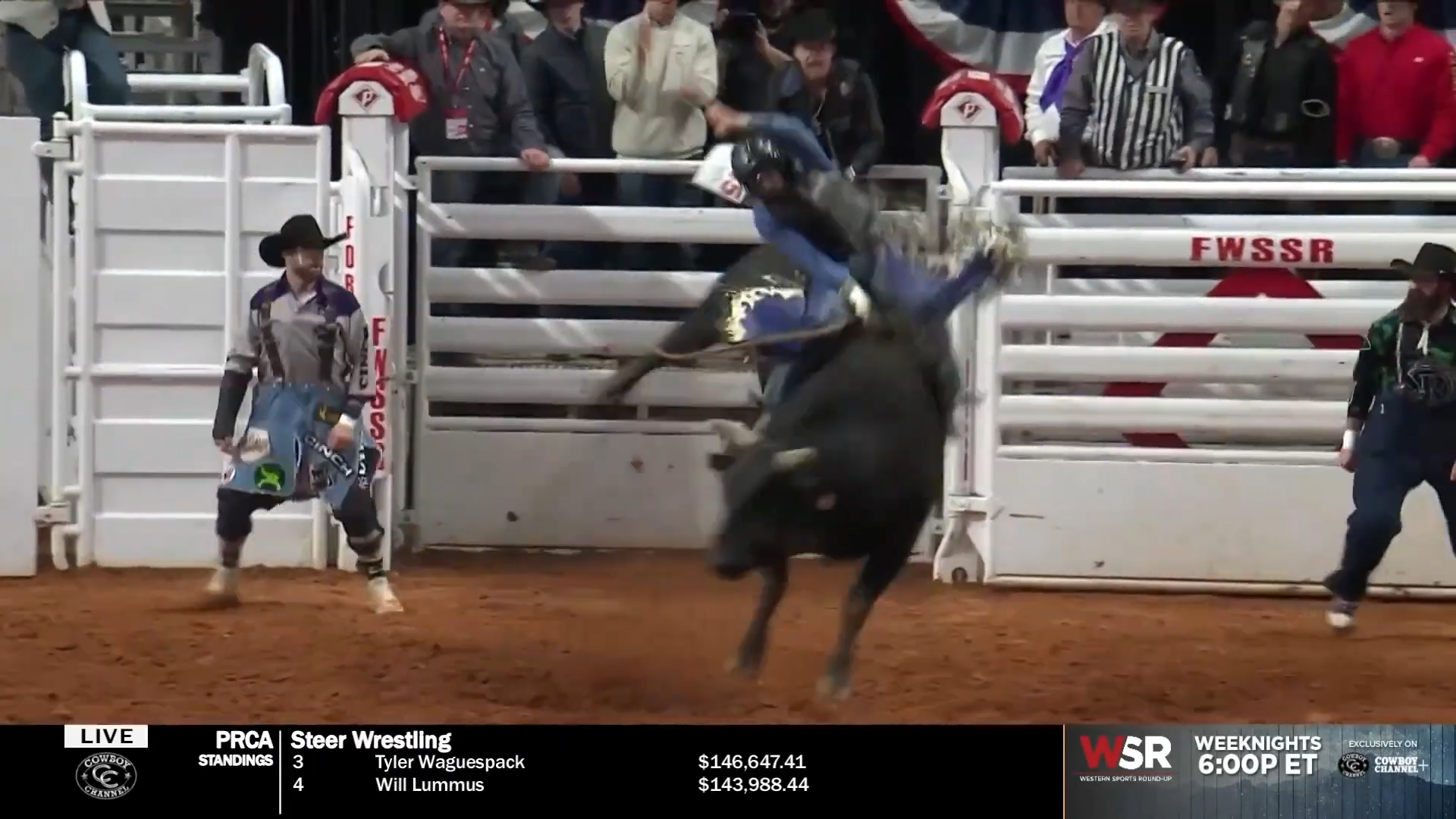 He met the bull head-on - and came out on top