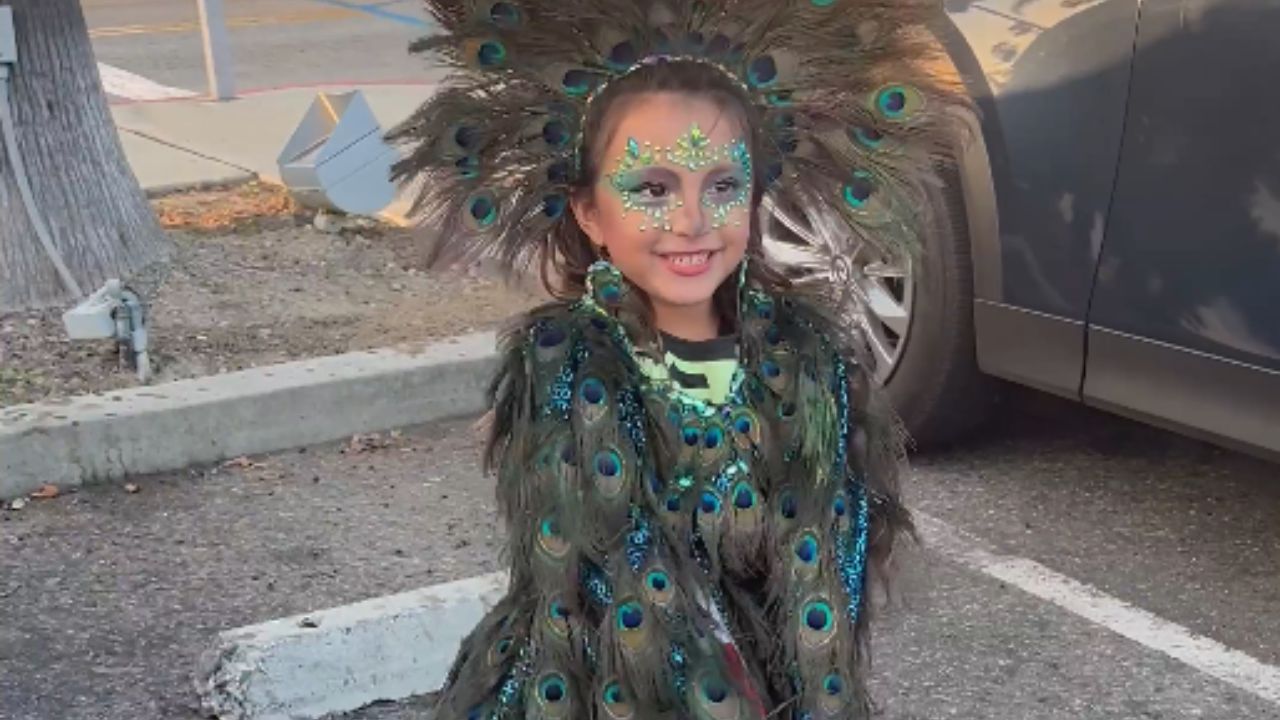 Handmade peacock queen costume makes a little girl the main character ...