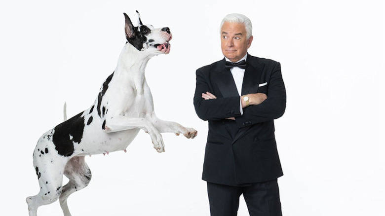 What To Watch Thursday: Thanksgiving Parade, Football, National Dog ...