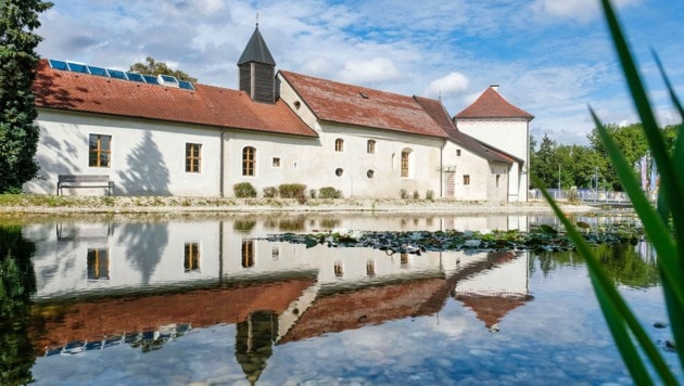 Neuer Pächter: Schloss bekommt Kult-Wirt zurück