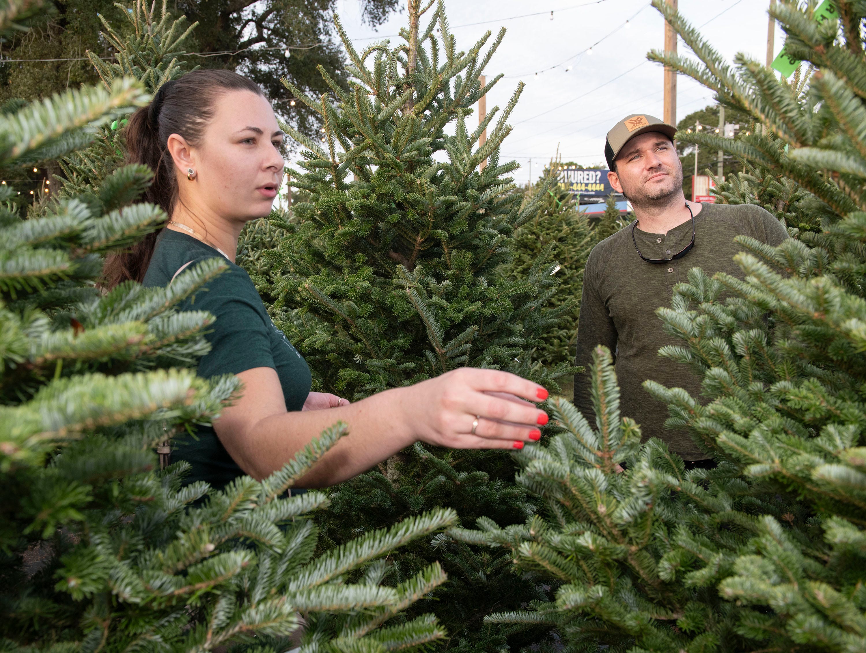 Cut your own Christmas tree with a Gila forest permit