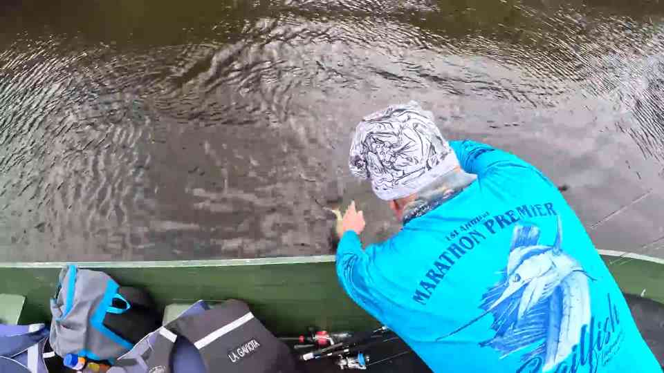 The Vampire Fish Attack! Catching Massive Payara in the Wild