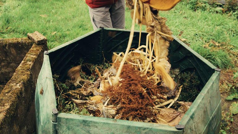 5 Composting Methods That Turn Food Scraps Into Garden Gold