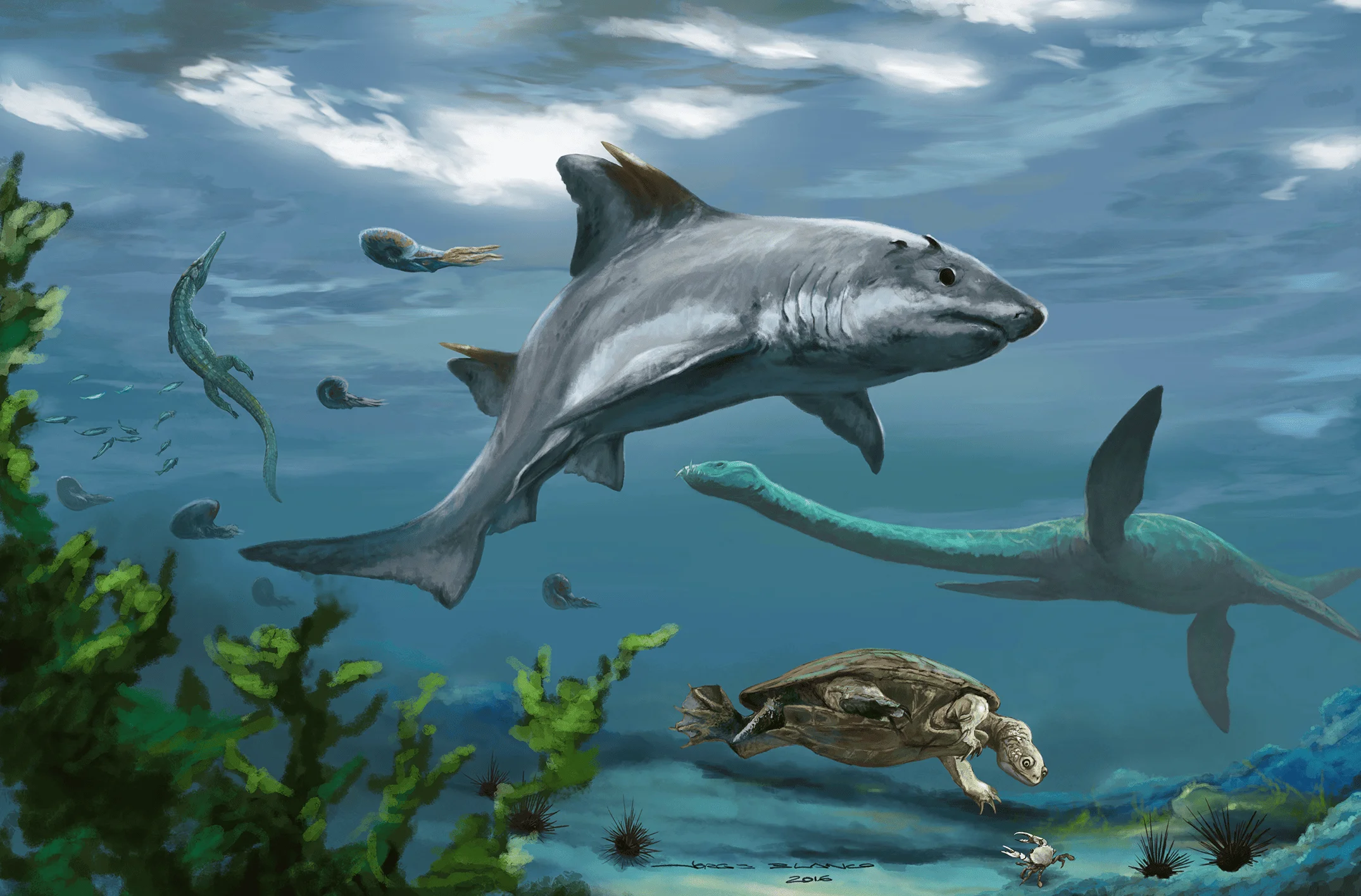 Depuis la fin de l'ère des dinosaures, une nouvelle espèce de requin ...
