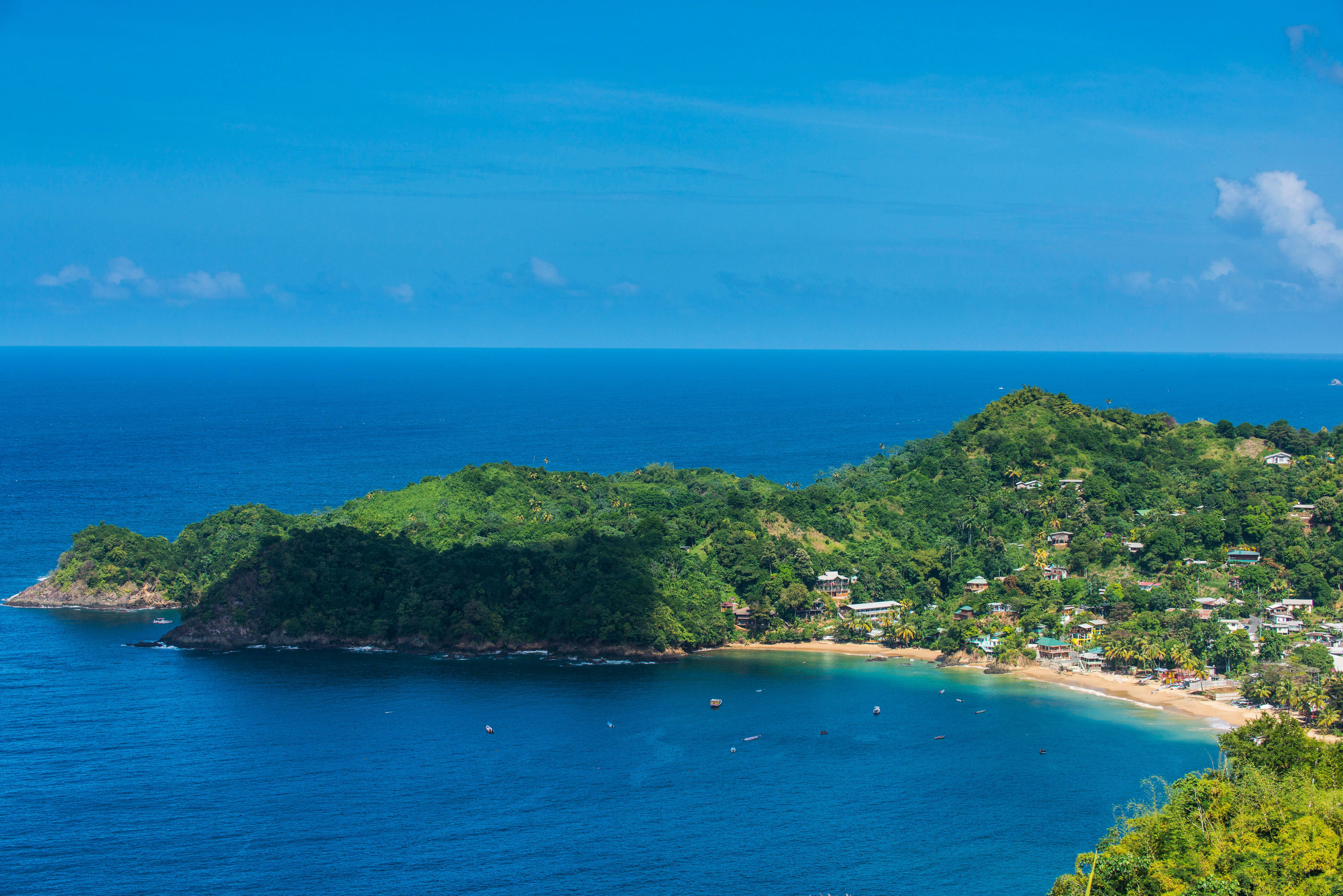 Suspect in custody after U.S. man killed in Tobago, police say.