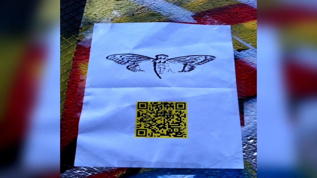 The Secret Organization Behind Cicada 3301 Still Anonymous Today