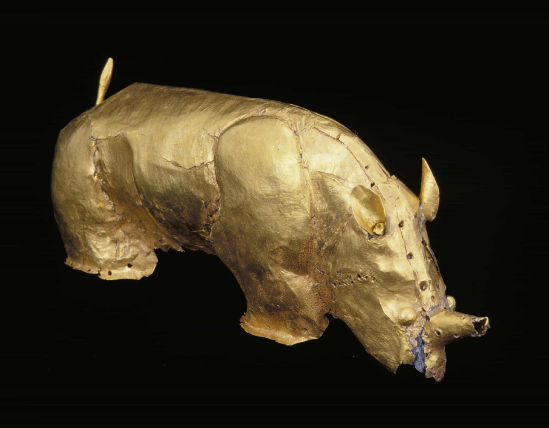 Golden Rhinoceros of Mapungubwe