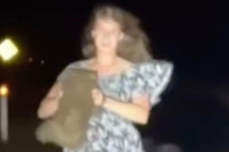 Influencer who snatched wombat from its mom arrested in Wyoming over ...