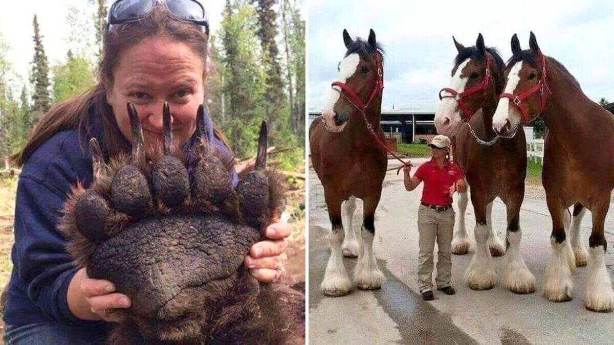 Images that put the incredible size of animals in perspective
