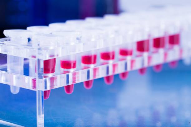 Nouveau Test Sanguin Capable De Détecter Plus De 50 Types De Cancer
