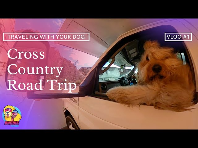 Traveling with your dog | Cross country road trip | Dog vlog #1 |<br>
