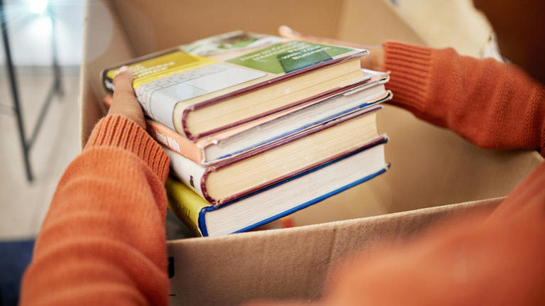 12 Things To Avoid Storing In Cardboard Boxes At All Costs