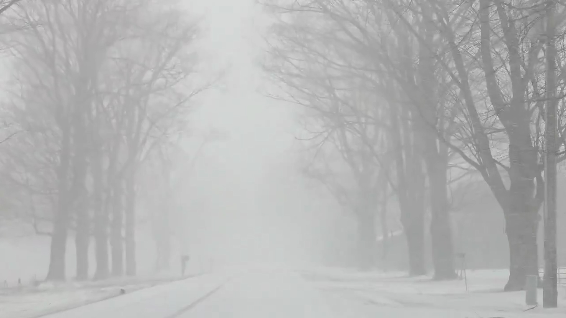 Winter storm descends on Ontario with up to 60 cm of snow possible in ...