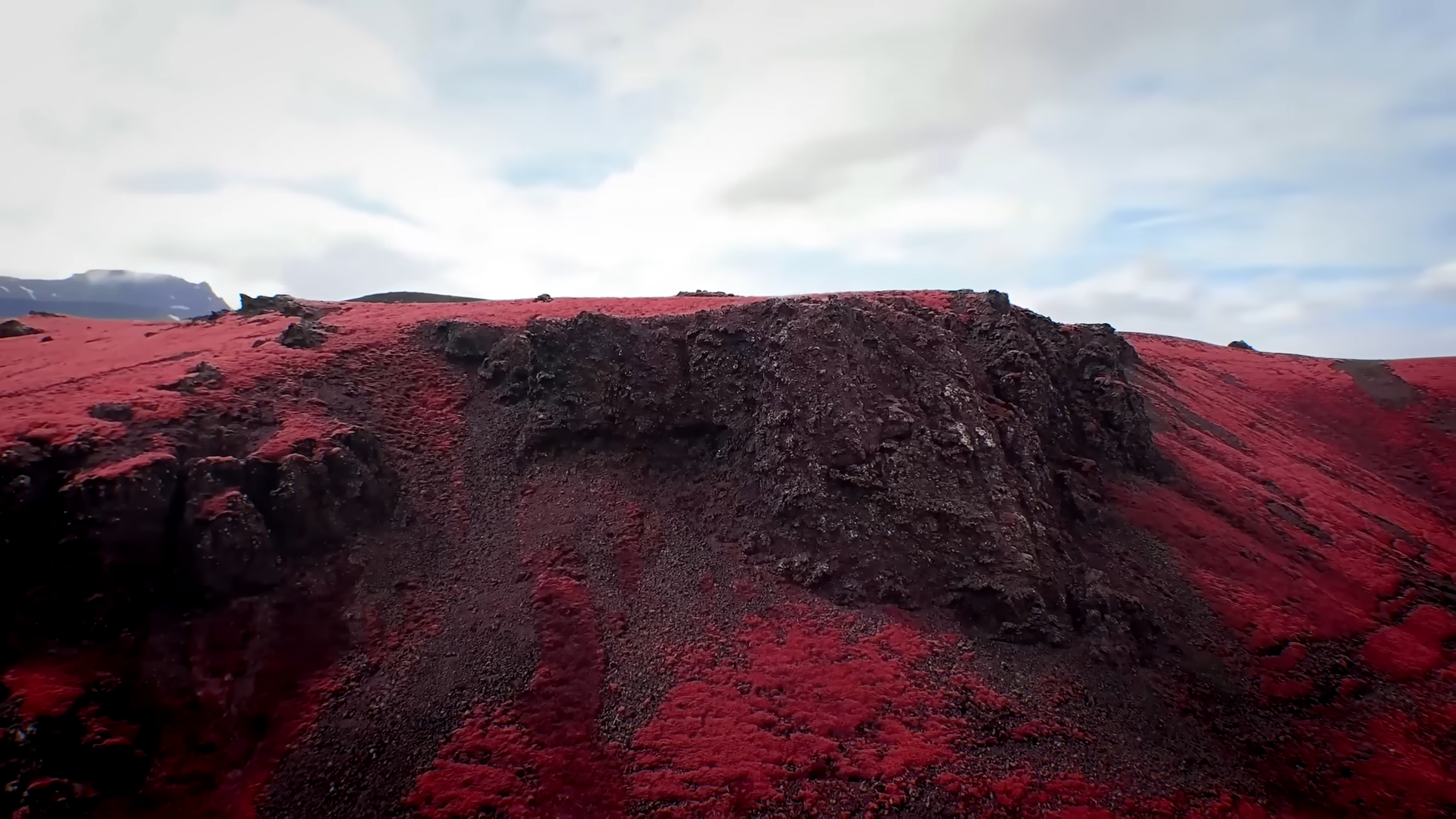 What alien plants might actually look like on other worlds