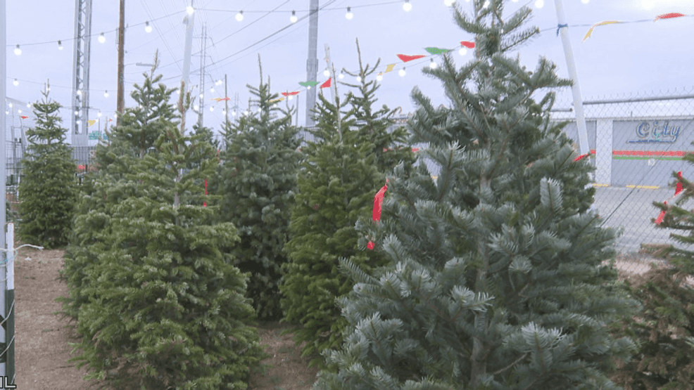 Rising costs hit local Christmas Tree farms