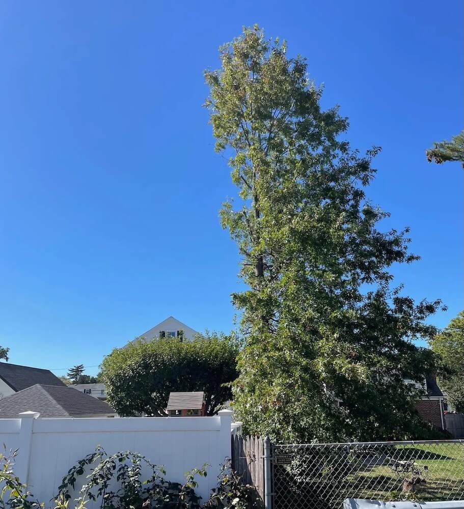 Homeowner sparks outrage online after sharing photos of neighbor's