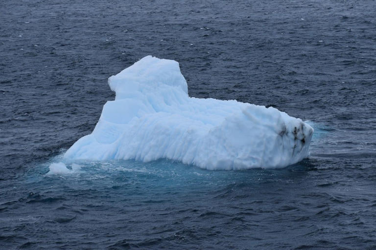 What Happens When a Massive Ice Shelf Breaks Apart