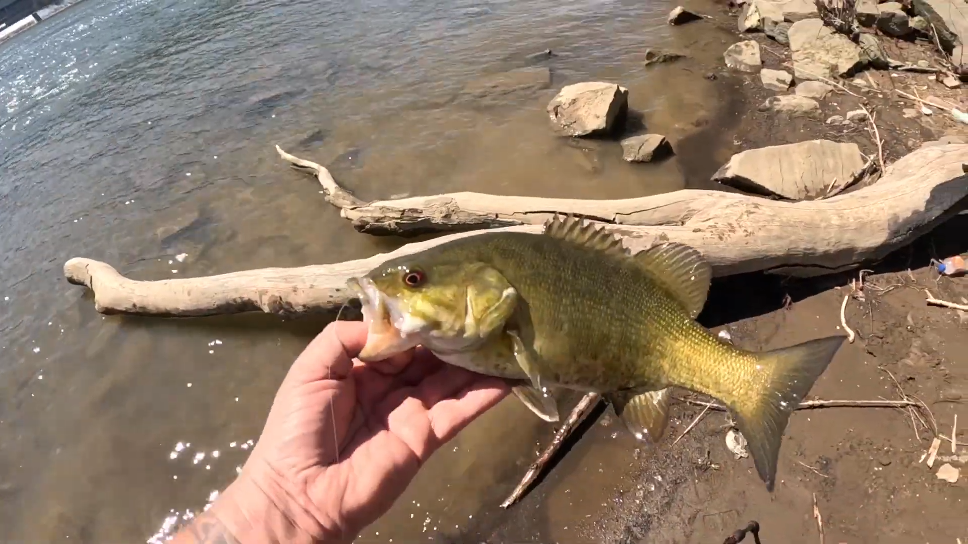 Ohio River fishing