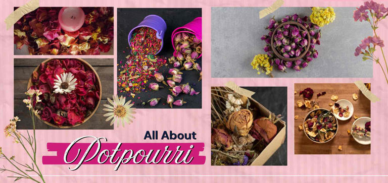 Potpourri Guide: Meaning, Types and Popuri Blends for a Fragrant Home