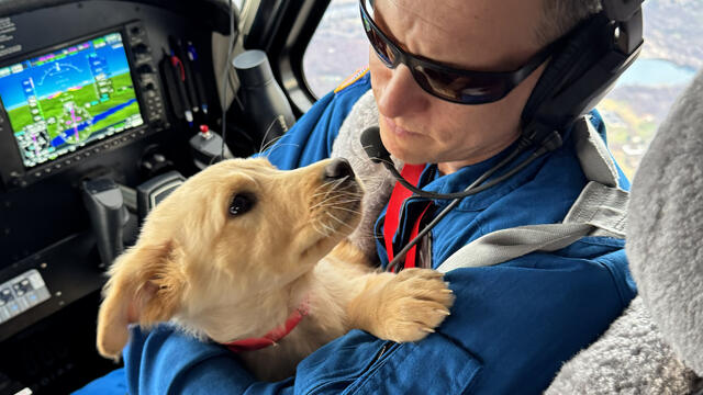 Volunteer Pilots Fly In To Save 40 Animals From Euthanasia