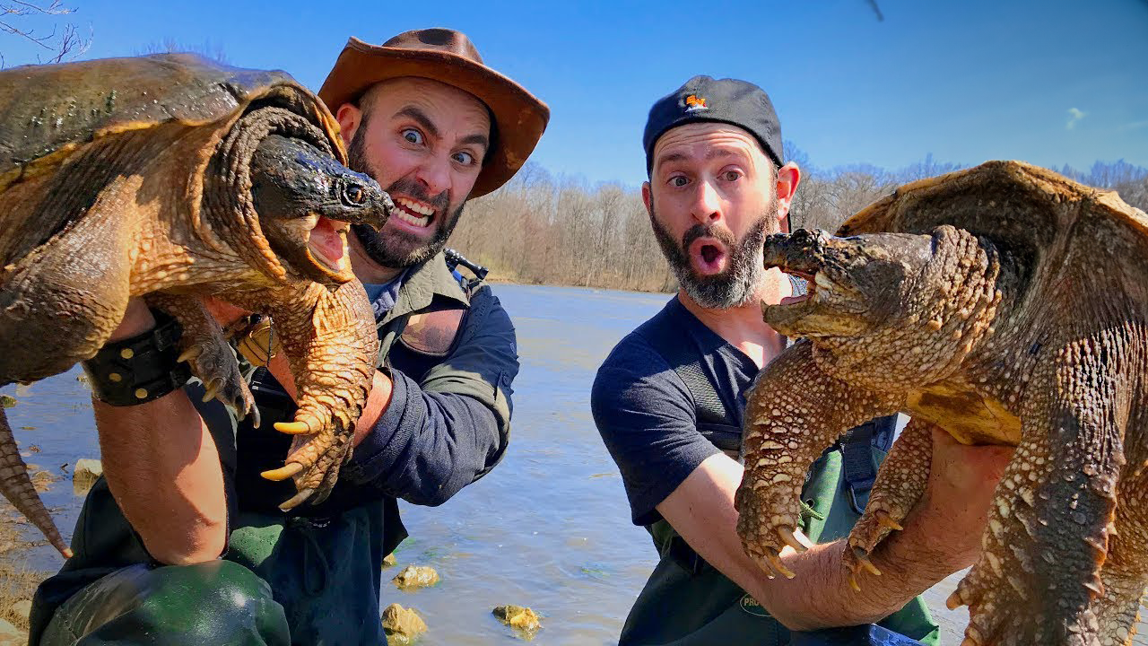 How to safely catch a water dragon and why it takes real skill
