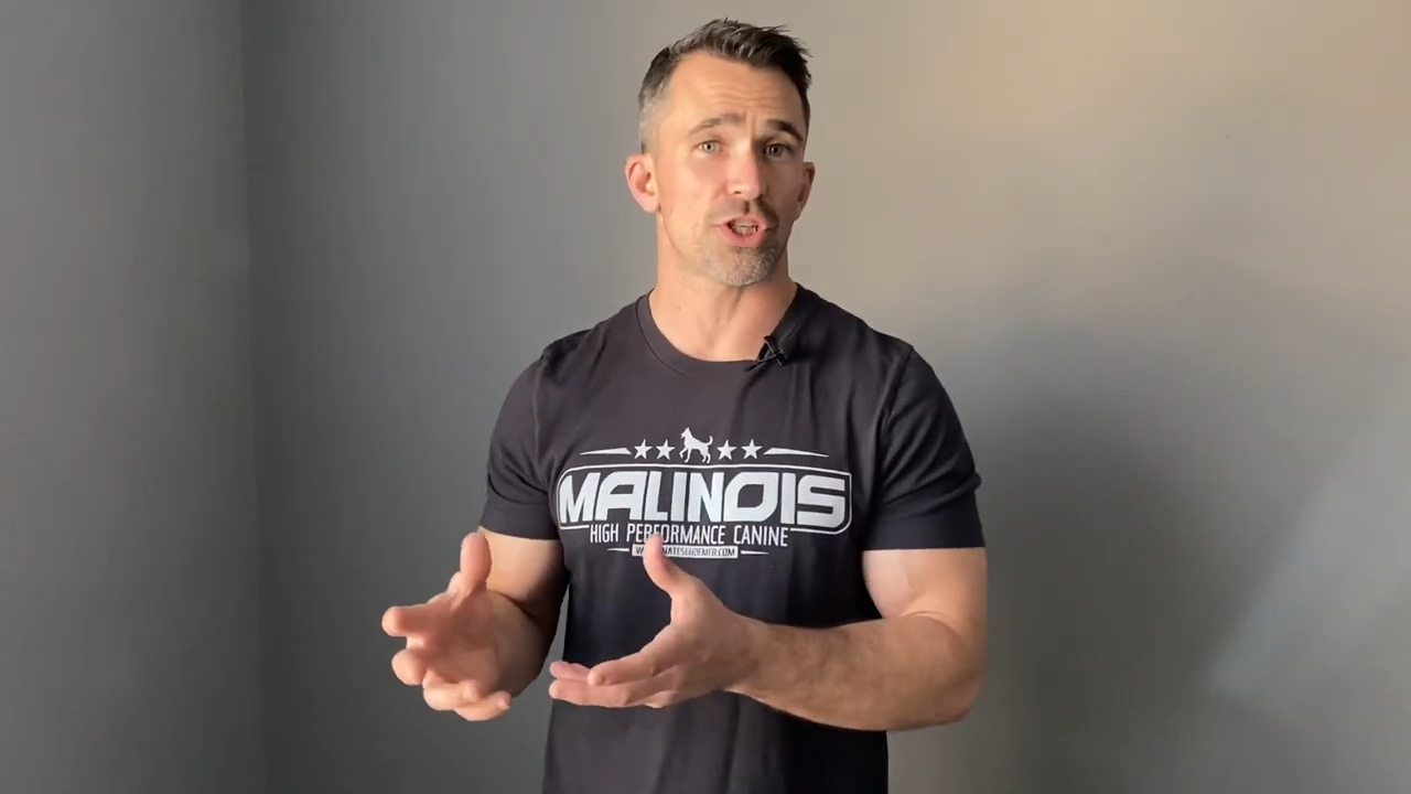 How to train the stick jump command with clarity, timing, and ease