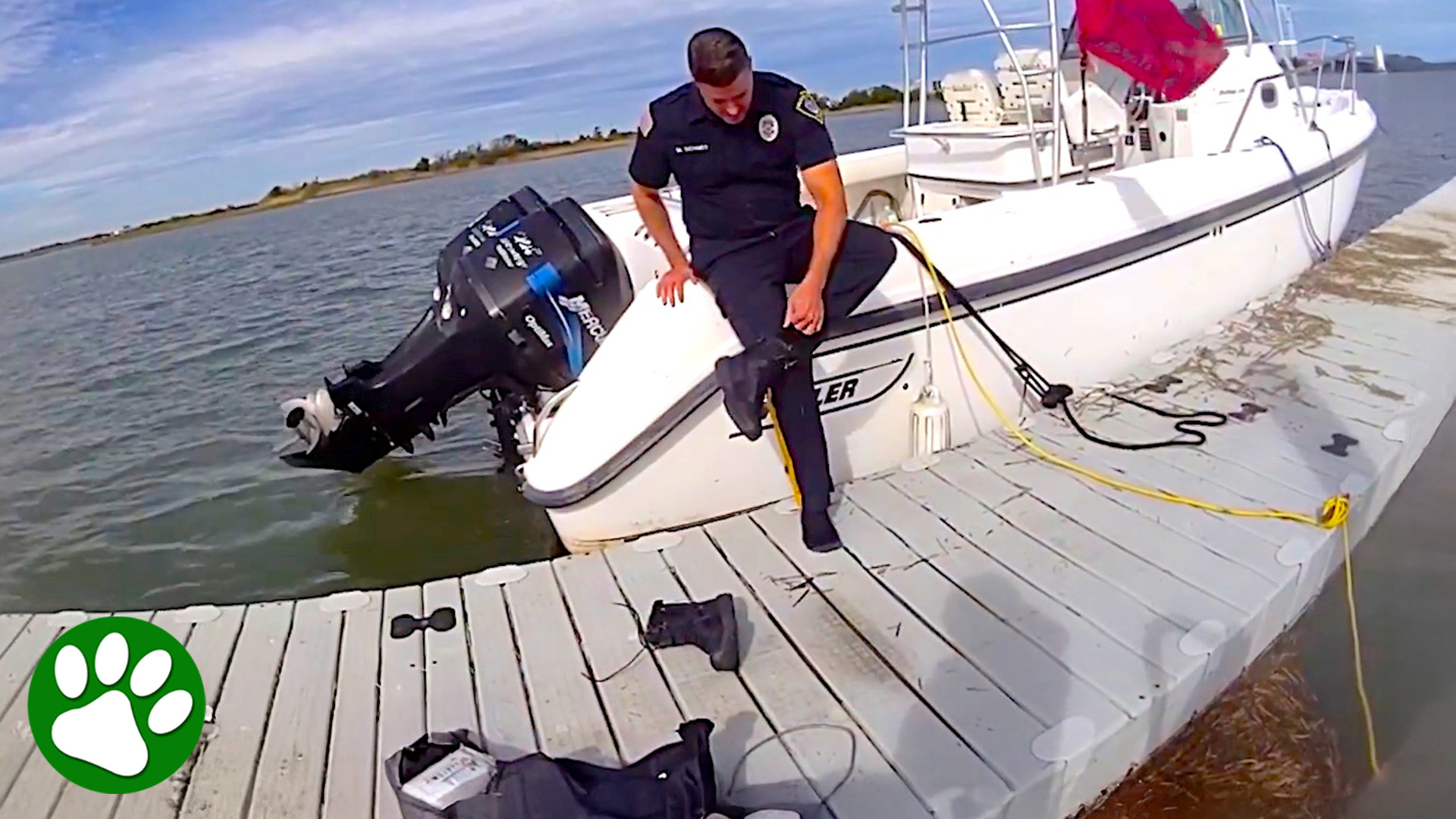 Cop Drops Uniform to Save Injured Stray in Freezing Water
