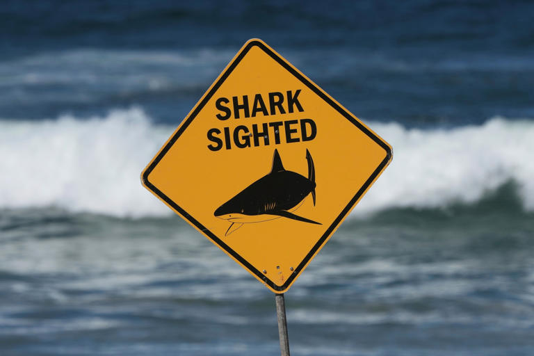 Mark Baker/AP - PHOTO: Australia Shark Attack