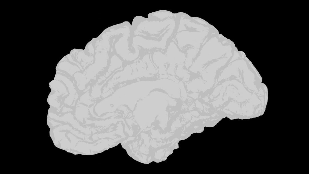 Why Your Brain Creates Phobias and How to Break the Cycle