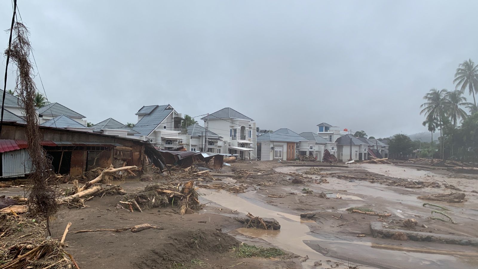 WWF Indonesia: Penyebab Banjir dan Longsor di Sumatera Diungkap