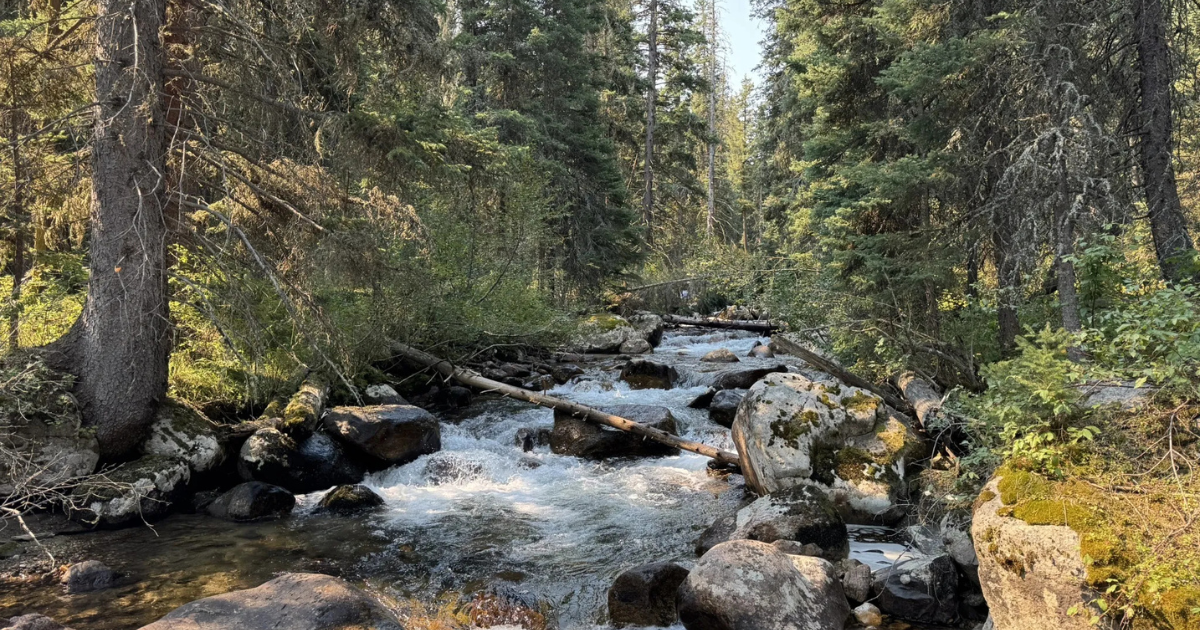This Beautiful Backcountry Trail in Montana Is a True Hidden Gem