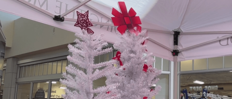 All angels already adopted from Salvation Army’s 2025 Angel Tree program