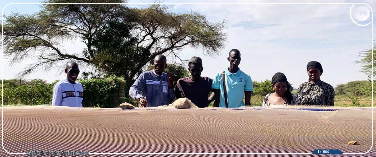 Aquaculture : le DG de l'ANA met en exergue les