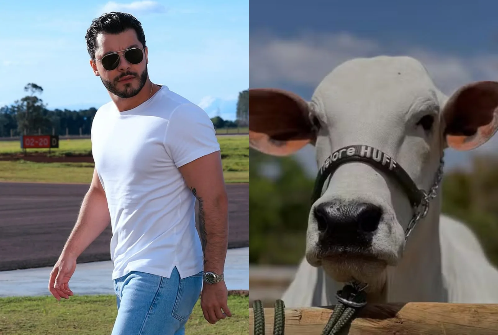 Murilo Huff detalha aquisição de vaca avaliada em R$ 54 milhões: 