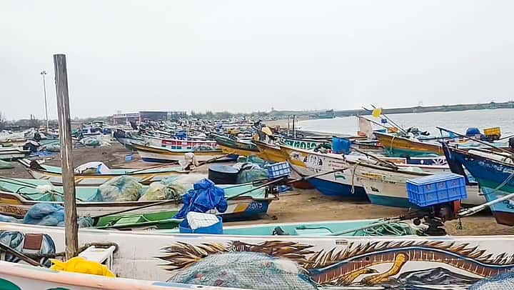 Cyclone Ditwah: Death Toll Mounts To 80 In Sri Lanka; India Launches ...