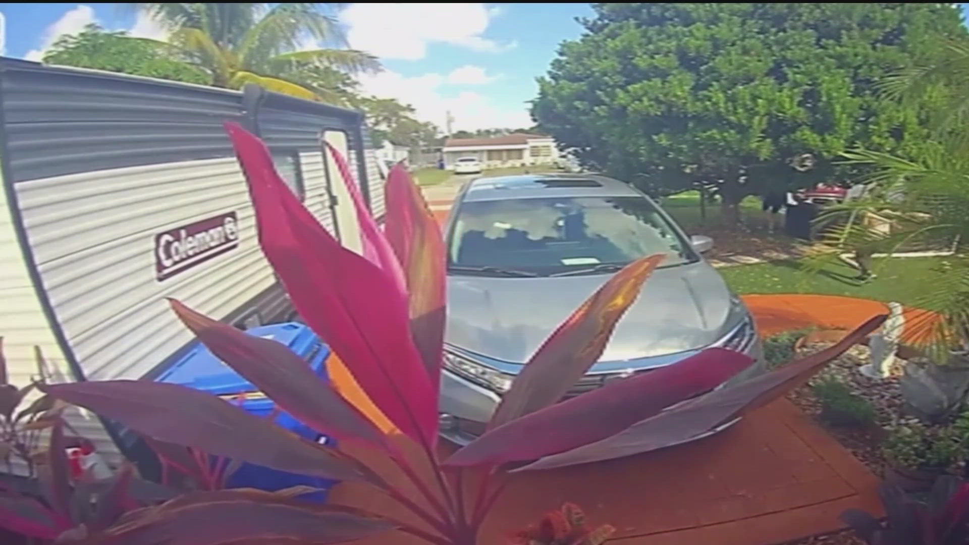 Thief steals Christmas decorations in South Florida