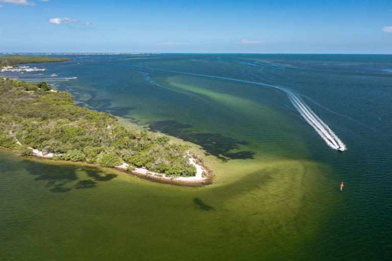 15 reasons to visit Bradenton, Florida