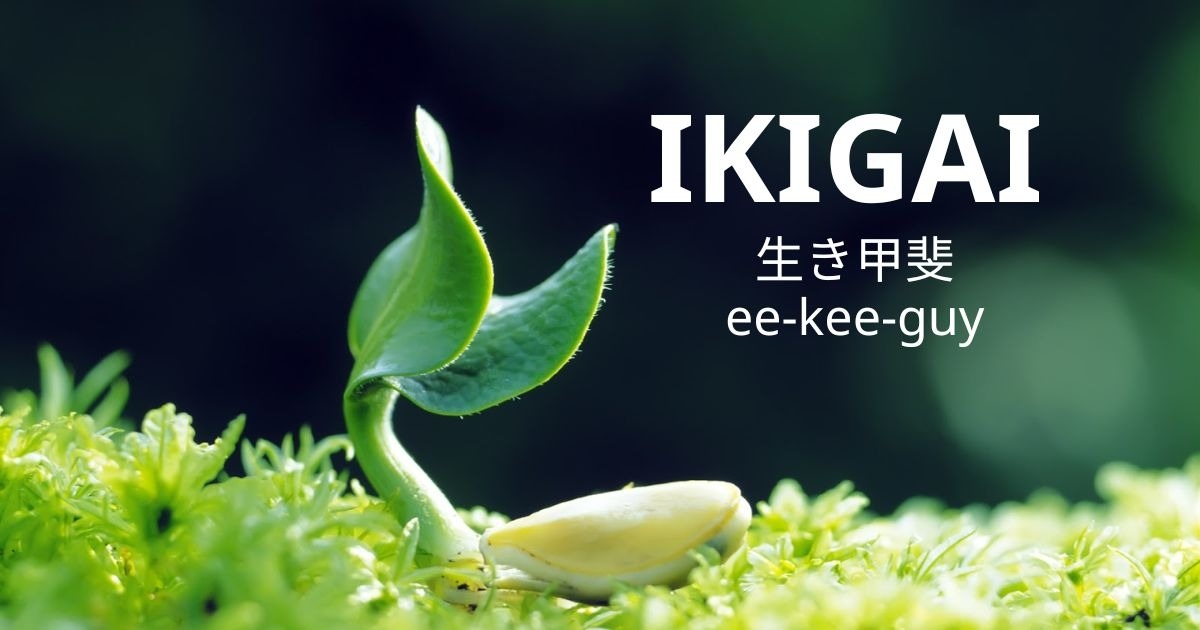 Ikigai: Lẽ sống giúp người Nhật hạnh phúc từ trẻ đến già