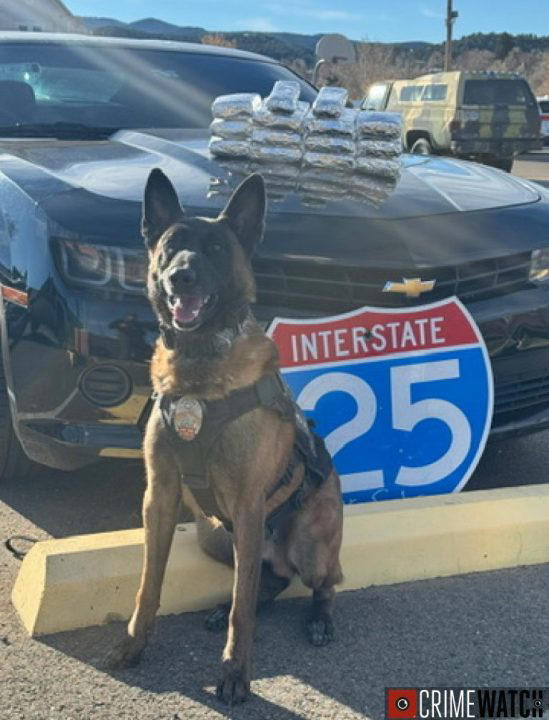 26 lbs of cocaine seized during traffic stop in Trinidad