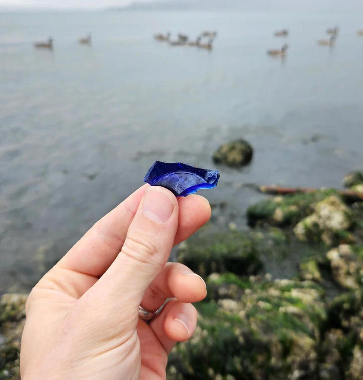 20 People Who Proved That Creativity Can Transform Everyday Things