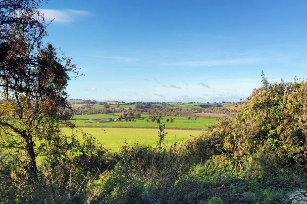 Walk of the Week: Explore Exton, Meonstoke and Old Winchester Hill